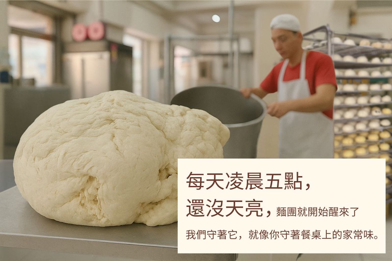 每天凌晨5點老麵開始醒來