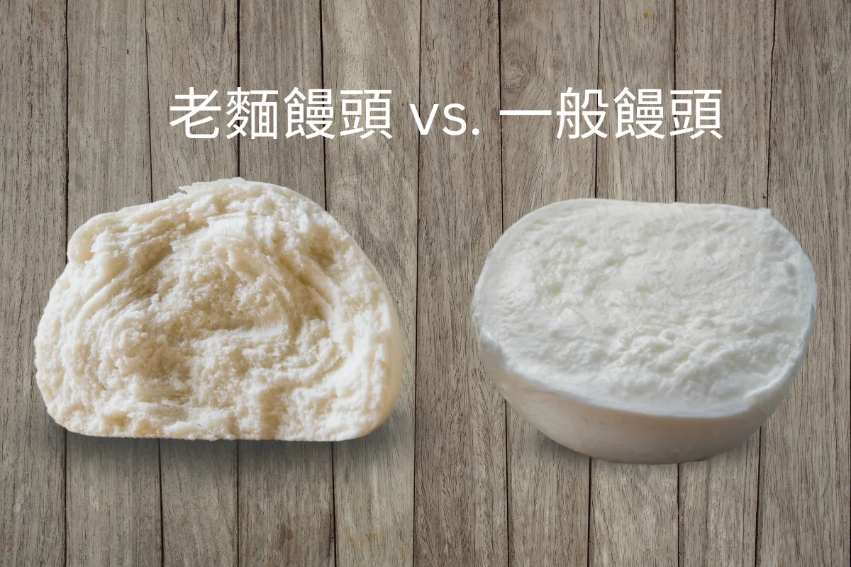 8小時自然發酵的老麵饅頭與一般快速發酵饅頭對比圖，展現質感與色澤差異