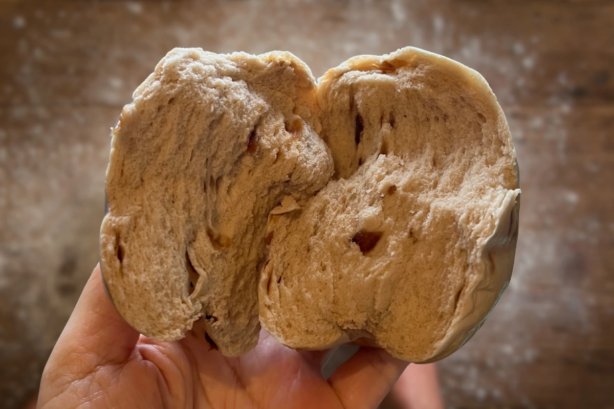 老麵饅頭剖面圖,展現層次分明的氣孔結構與紮實質地
